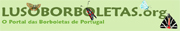 Lusoborboletas